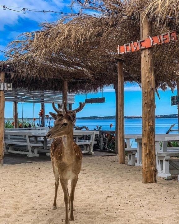 Deluxe Bluebay Oasis Apartamento